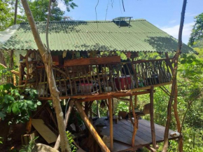 Casa del musgo y helecho